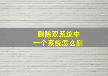 删除双系统中一个系统怎么删