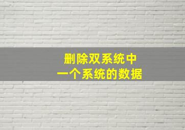 删除双系统中一个系统的数据