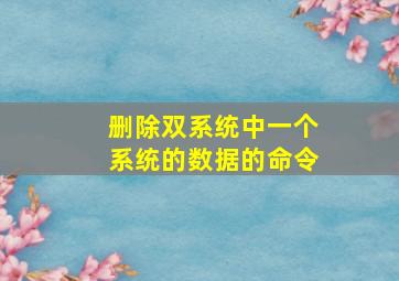 删除双系统中一个系统的数据的命令