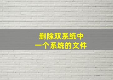 删除双系统中一个系统的文件