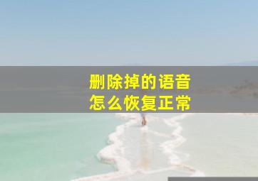 删除掉的语音怎么恢复正常