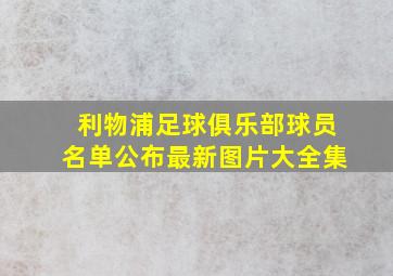 利物浦足球俱乐部球员名单公布最新图片大全集