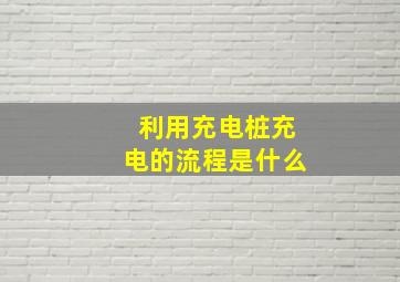 利用充电桩充电的流程是什么