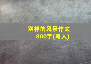 别样的风景作文800字(写人)