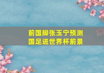 前国脚张玉宁预测国足进世界杯前景