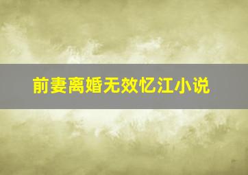 前妻离婚无效忆江小说