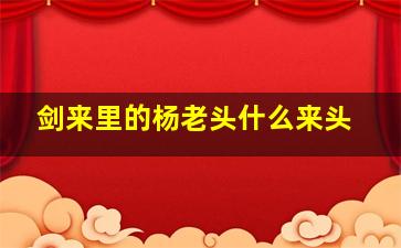 剑来里的杨老头什么来头