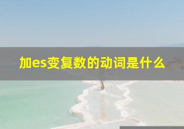 加es变复数的动词是什么