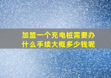 加盟一个充电桩需要办什么手续大概多少钱呢