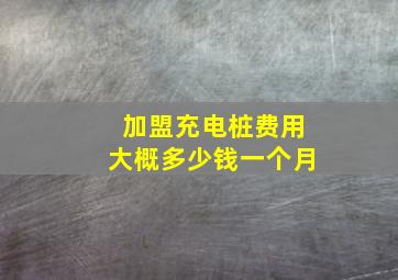 加盟充电桩费用大概多少钱一个月