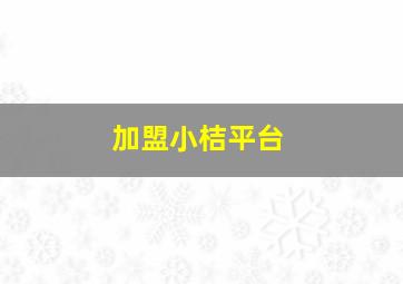 加盟小桔平台