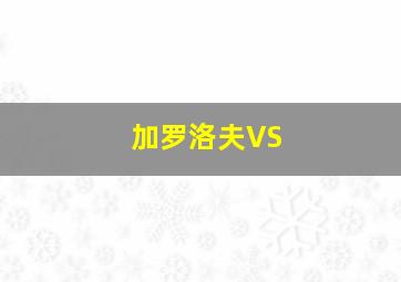 加罗洛夫VS