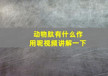 动物肽有什么作用呢视频讲解一下