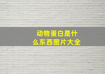 动物蛋白是什么东西图片大全