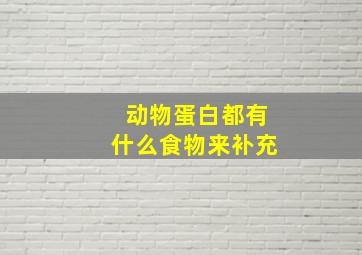 动物蛋白都有什么食物来补充