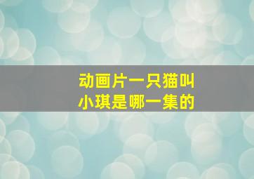 动画片一只猫叫小琪是哪一集的