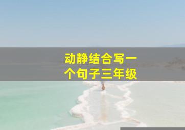 动静结合写一个句子三年级