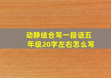 动静结合写一段话五年级20字左右怎么写