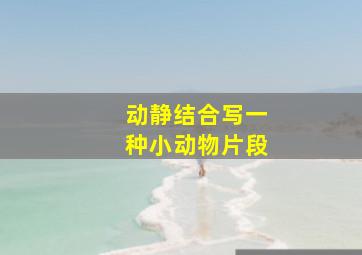 动静结合写一种小动物片段