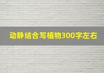 动静结合写植物300字左右