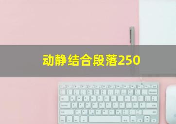 动静结合段落250