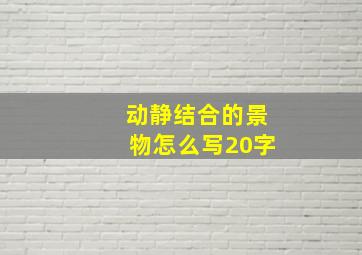 动静结合的景物怎么写20字