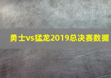 勇士vs猛龙2019总决赛数据