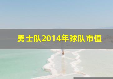 勇士队2014年球队市值