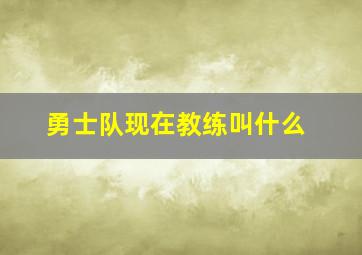 勇士队现在教练叫什么