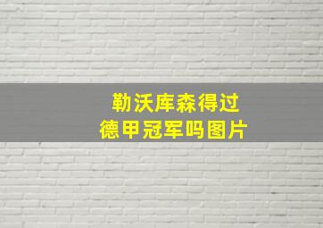 勒沃库森得过德甲冠军吗图片