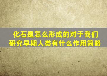 化石是怎么形成的对于我们研究早期人类有什么作用简略