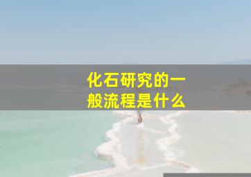 化石研究的一般流程是什么