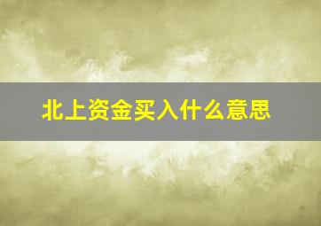 北上资金买入什么意思