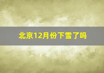 北京12月份下雪了吗