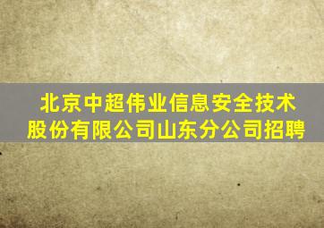 北京中超伟业信息安全技术股份有限公司山东分公司招聘