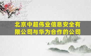 北京中超伟业信息安全有限公司与华为合作的公司