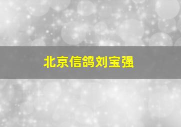 北京信鸽刘宝强