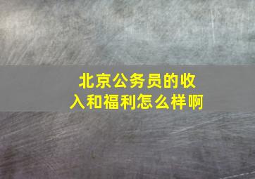 北京公务员的收入和福利怎么样啊