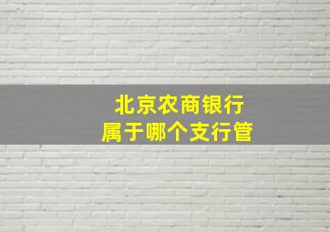 北京农商银行属于哪个支行管