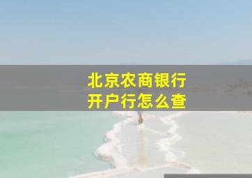 北京农商银行开户行怎么查