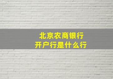 北京农商银行开户行是什么行