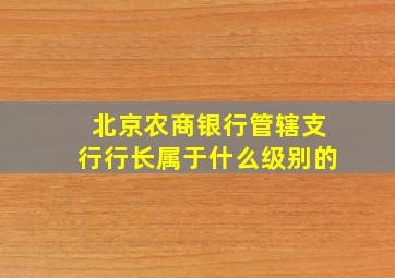 北京农商银行管辖支行行长属于什么级别的