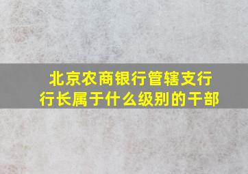 北京农商银行管辖支行行长属于什么级别的干部