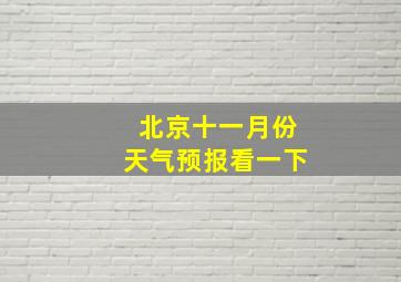 北京十一月份天气预报看一下