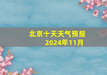 北京十天天气预报2024年11月