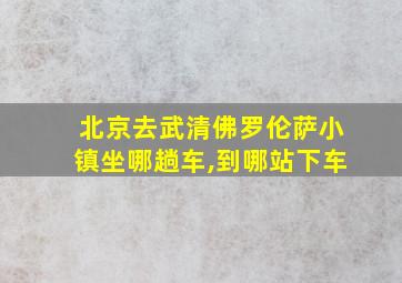 北京去武清佛罗伦萨小镇坐哪趟车,到哪站下车