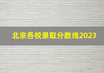 北京各校录取分数线2023