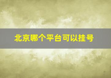 北京哪个平台可以挂号