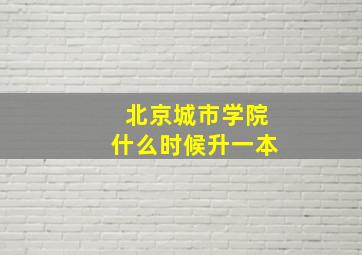 北京城市学院什么时候升一本