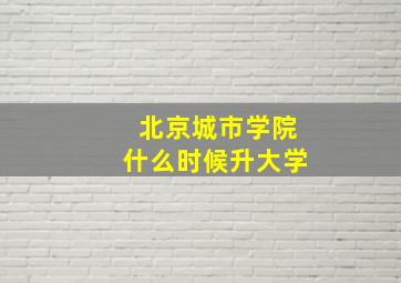 北京城市学院什么时候升大学